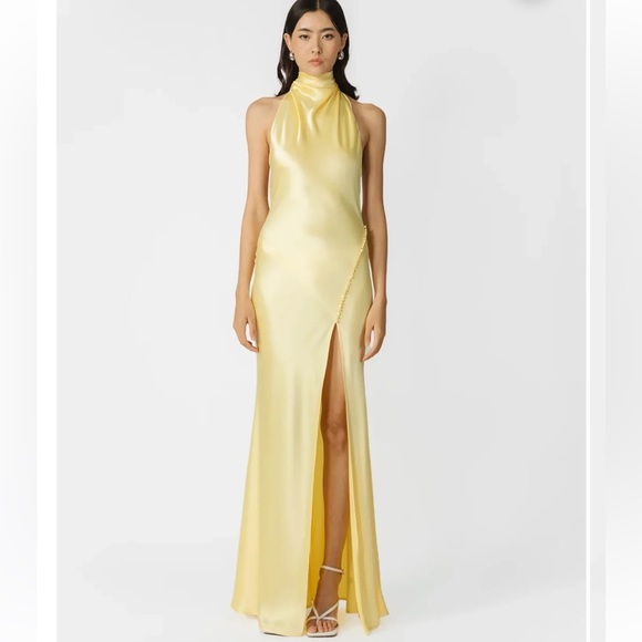 sau lee Dresses & Skirts - Sau Lee PENELOPE BACKLESS SATIN GOWN Size 14